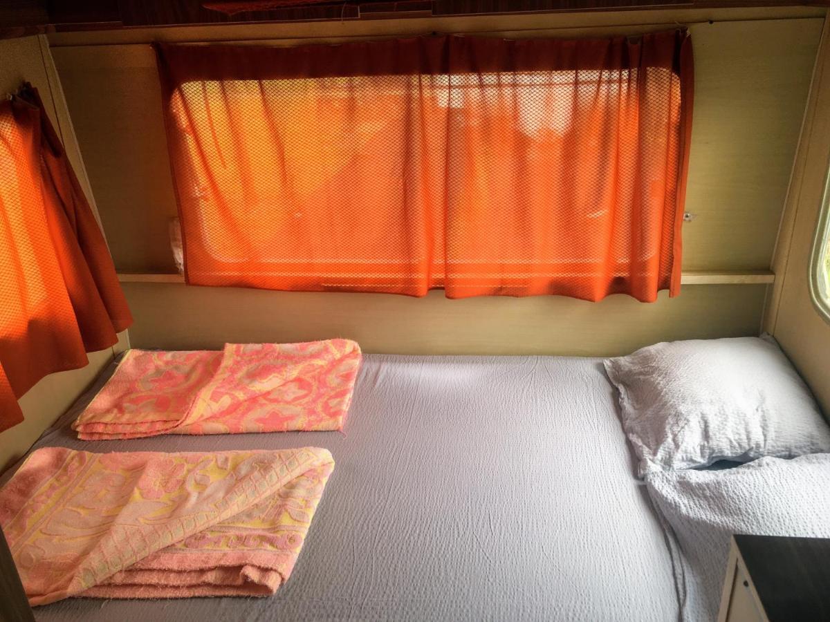 Camping Oaza Bela Crkva  Exterior photo